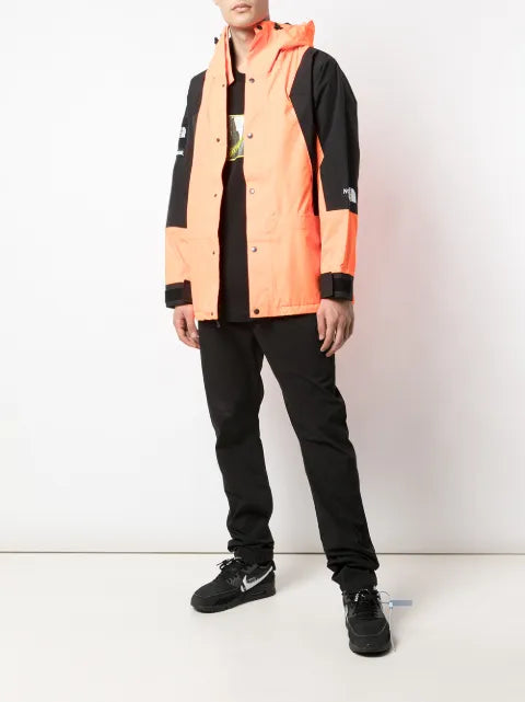 Supreme x The North Face Mountain Light jacket