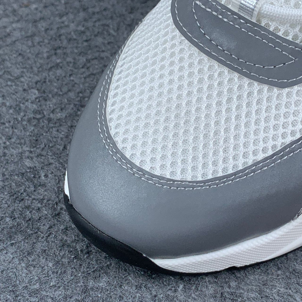 Dior B22 'White Grey'